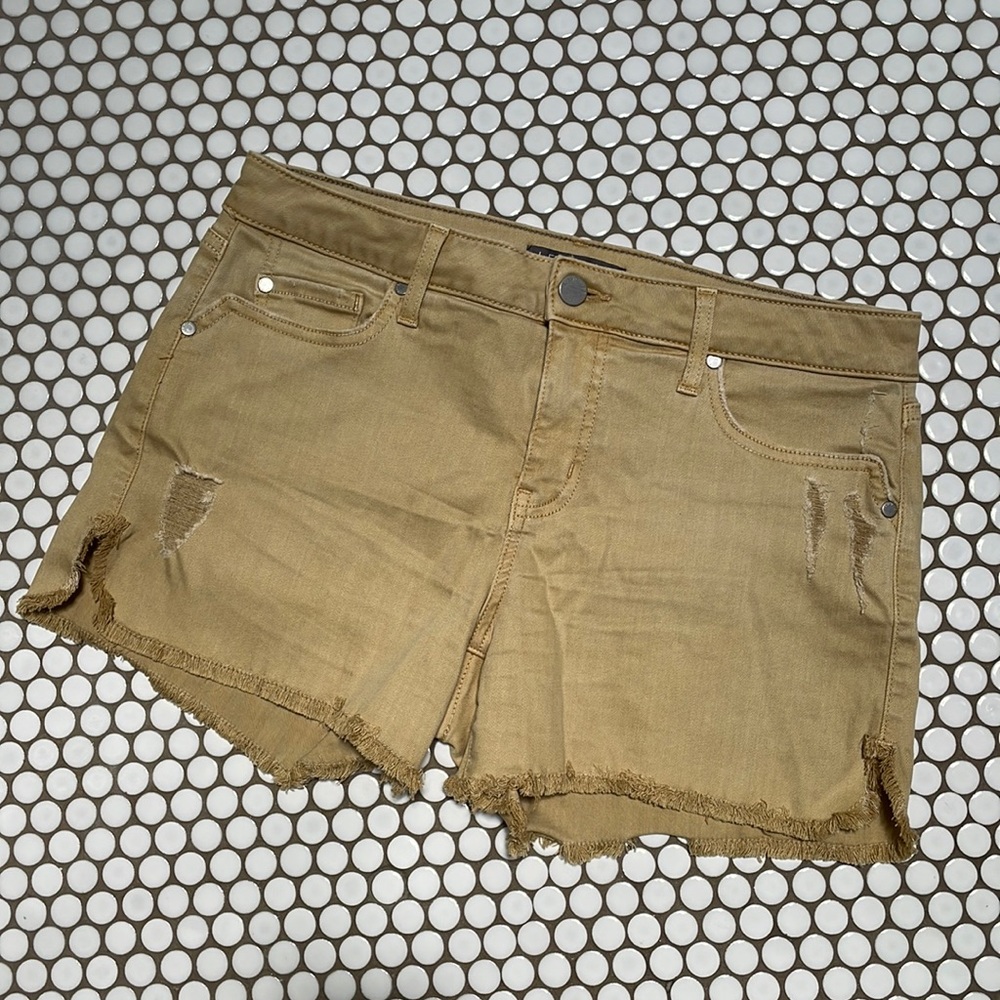 Level 99 shorts